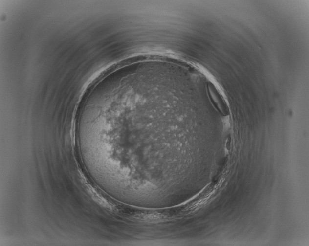 X0000084540791200703091652