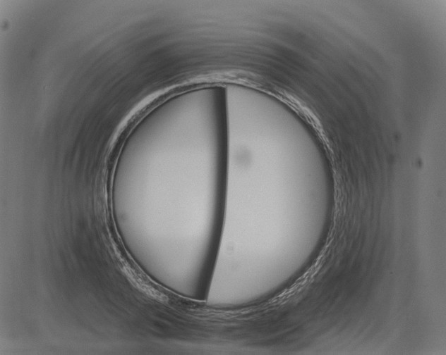 X0000084540792200703091652