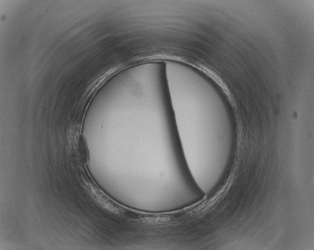 X0000084540793200703091652