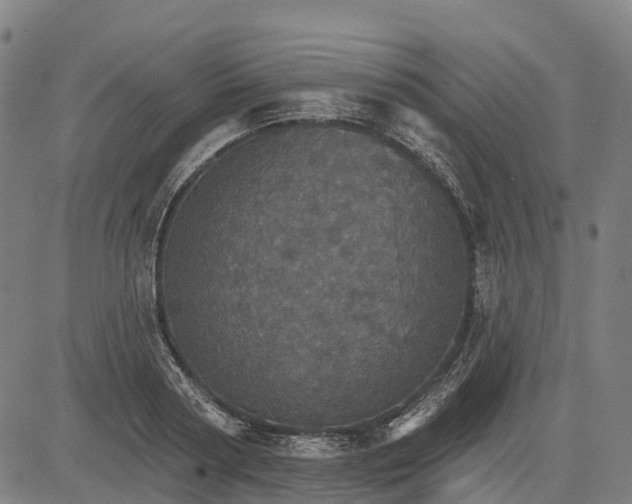 X0000084540794200703091652