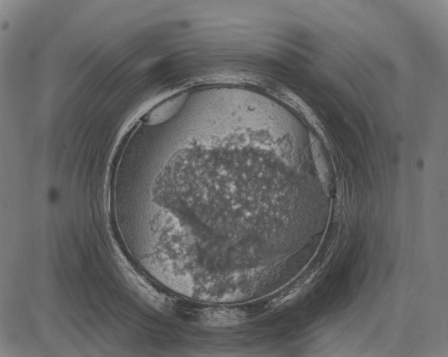 X0000084540795200703091652