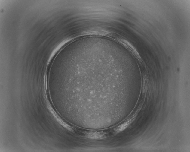 X0000084540796200703091652