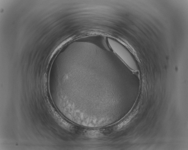 X0000084540798200703091652