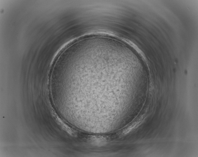 X0000084540799200703091652