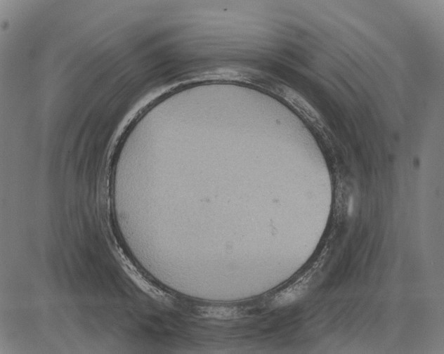 X0000084540800200703091652