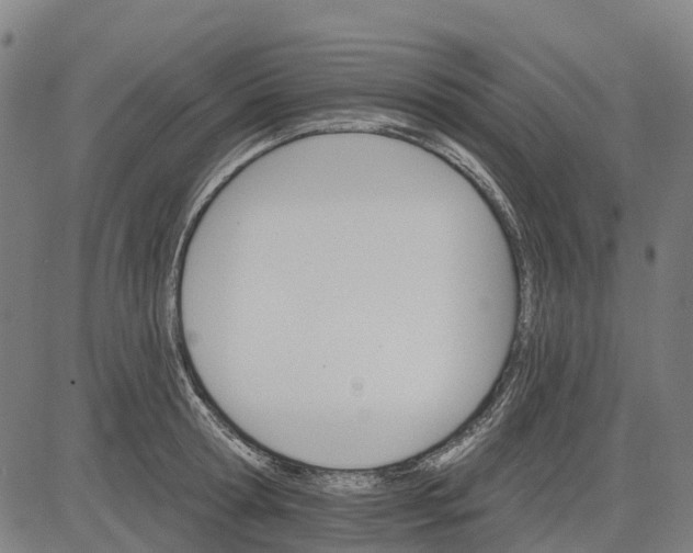 X0000084540802200703091652