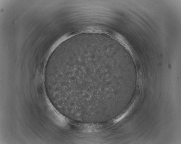 X0000084540803200703091652