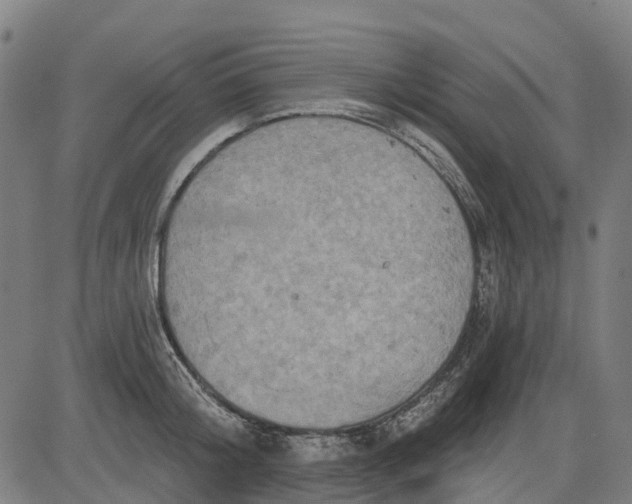 X0000084540804200703091652