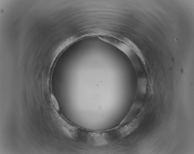 X0000084540805200703091652