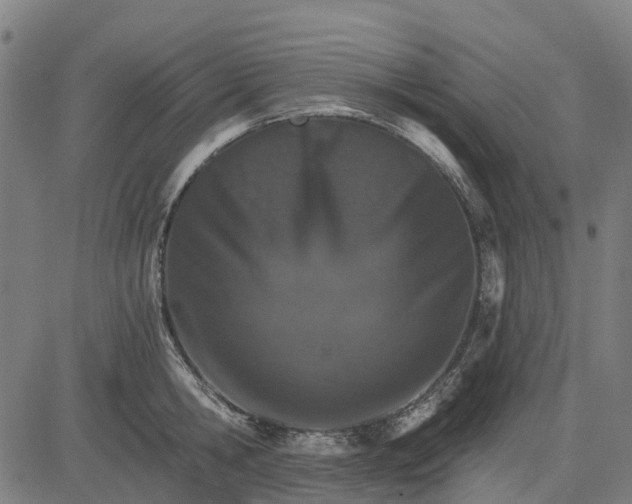 X0000084540806200703091652