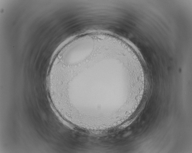 X0000084540807200703091652