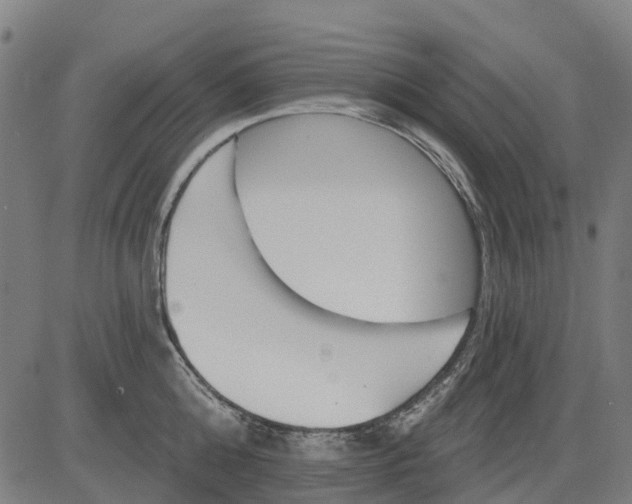 X0000084540808200703091652