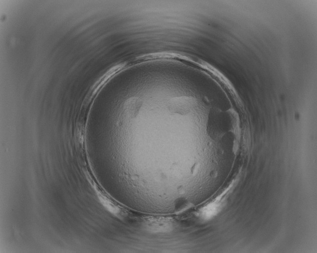 X0000084540809200703091652