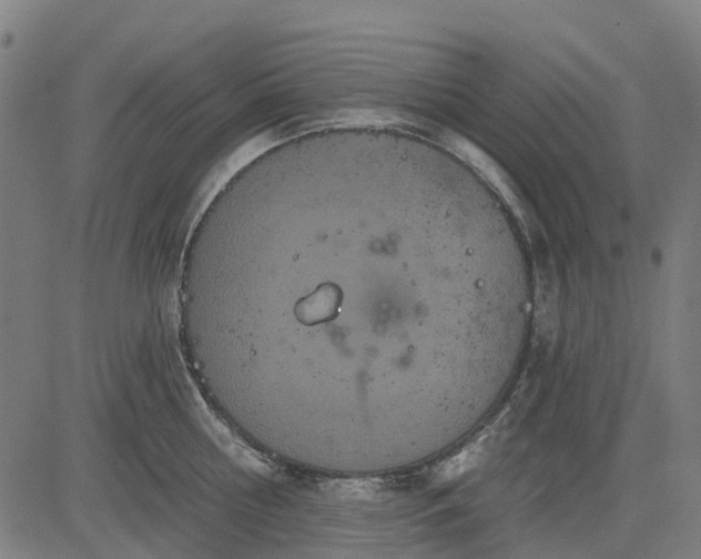 X0000084540810200703091652