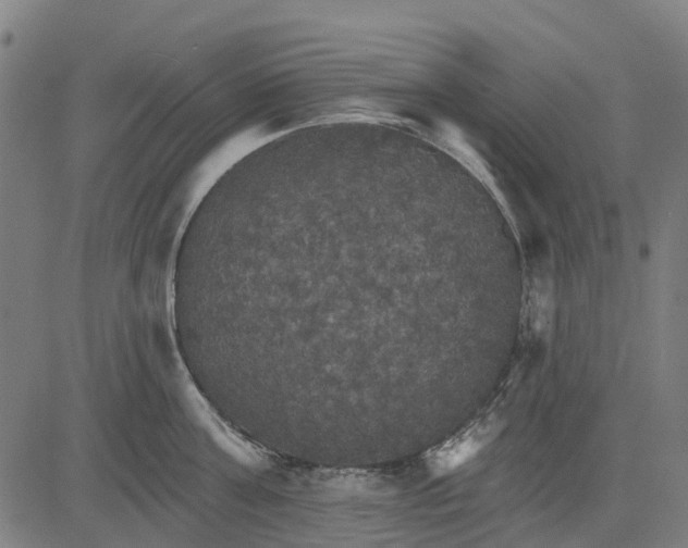 X0000084540811200703091652