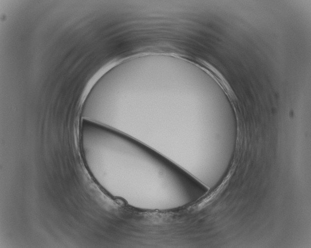 X0000084540812200703091652