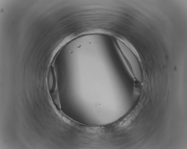 X0000084540813200703091652