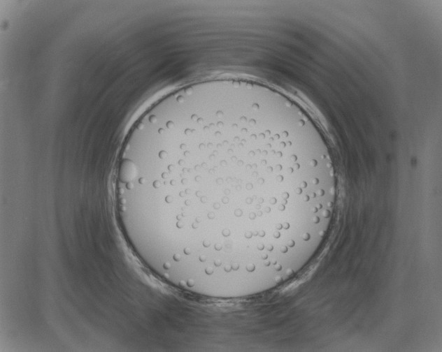 X0000084540814200703091652