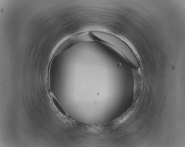 X0000084540815200703091652