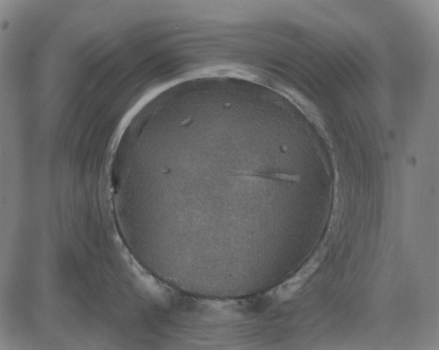 X0000084540816200703091652