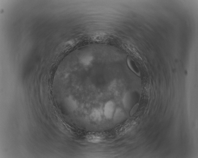 X0000084540817200703091651