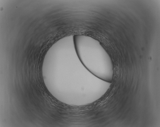 X0000084540818200703091651