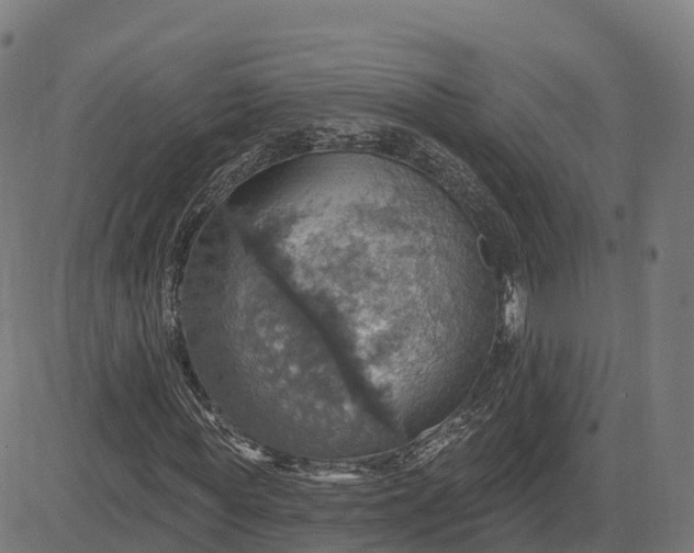 X0000084540819200703091651