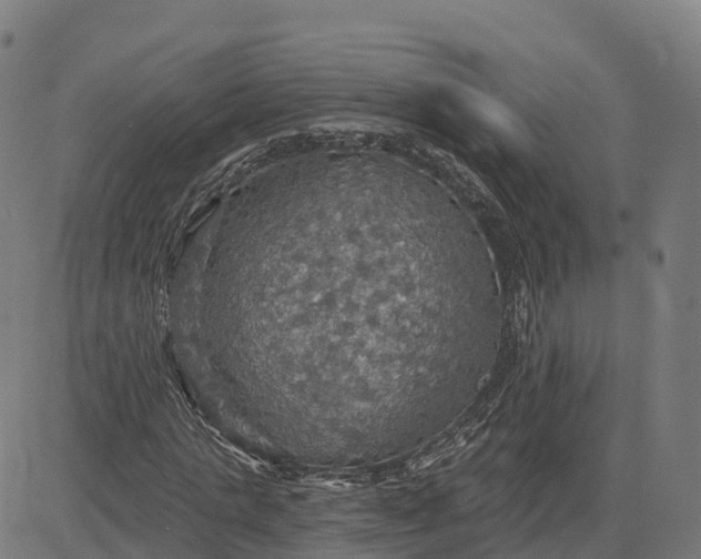 X0000084540821200703091651