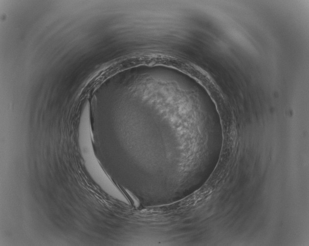 X0000084540823200703091651