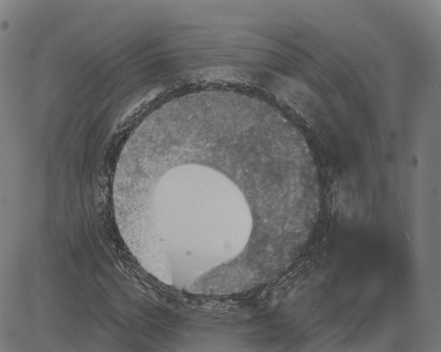 X0000084540824200703091651