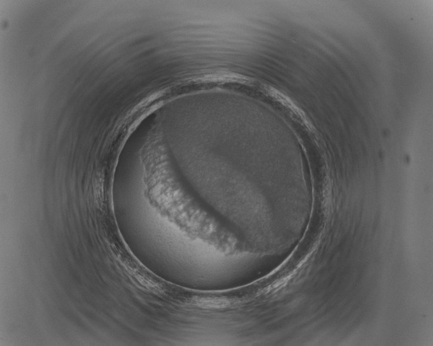 X0000084540825200703091651