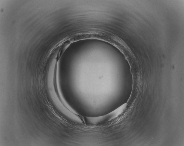 X0000084540826200703091651