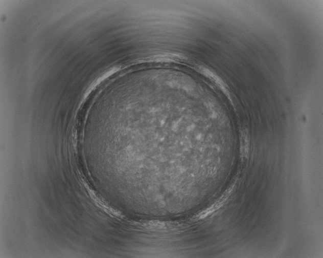 X0000084540827200703091651