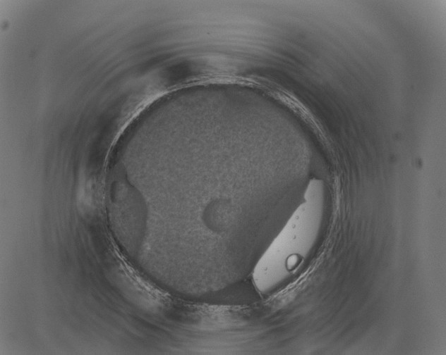 X0000084540828200703091651