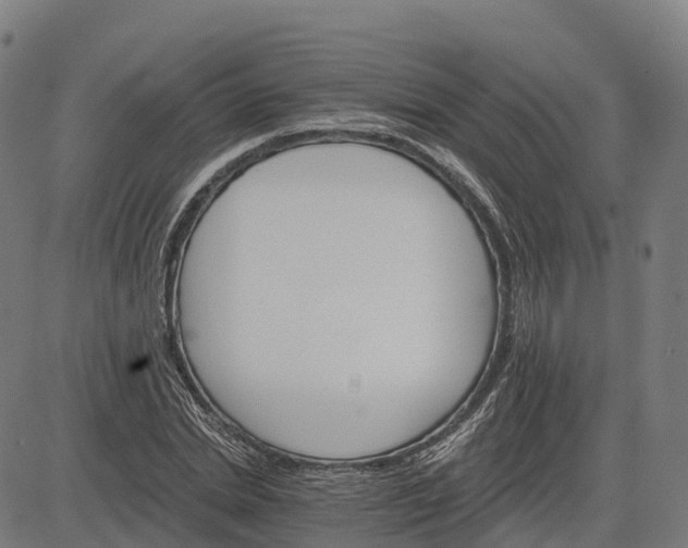 X0000084540830200703091651