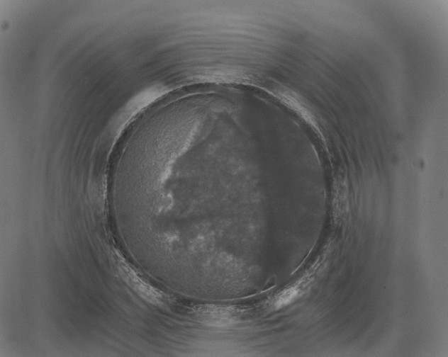 X0000084540831200703091651