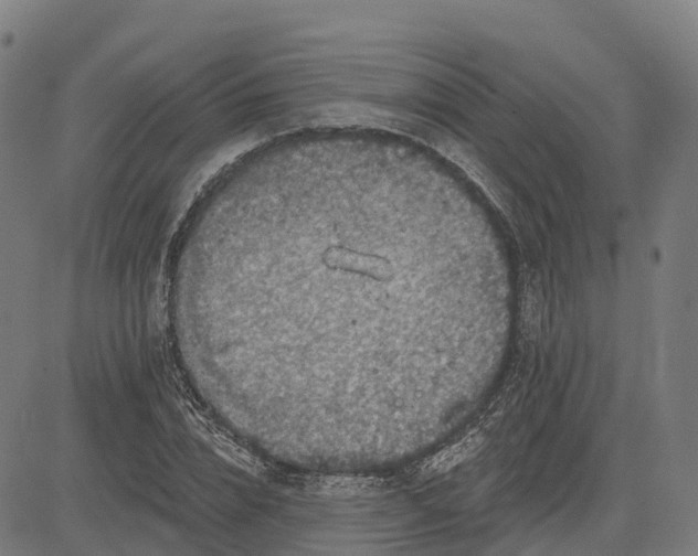 X0000084540832200703091651