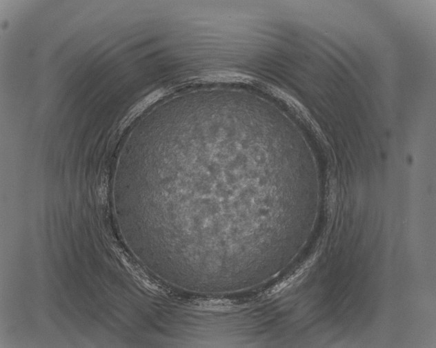 X0000084540833200703091651