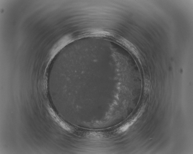 X0000084540835200703091651