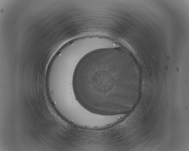 X0000084540836200703091651