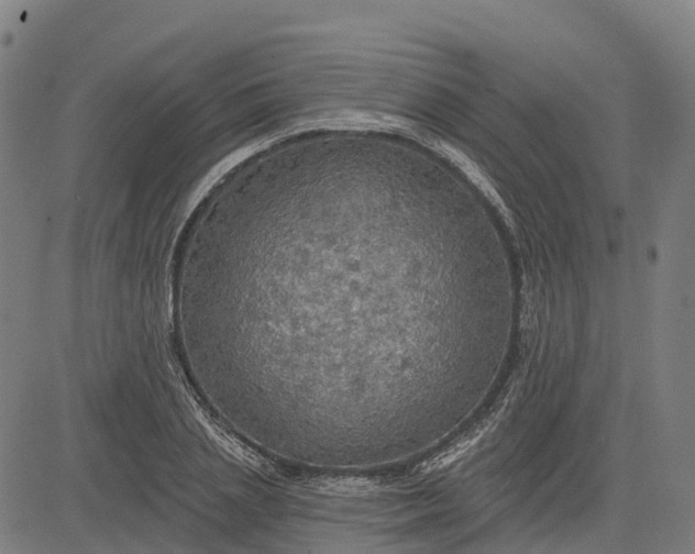 X0000084540837200703091651