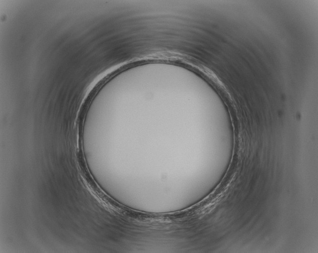 X0000084540838200703091651