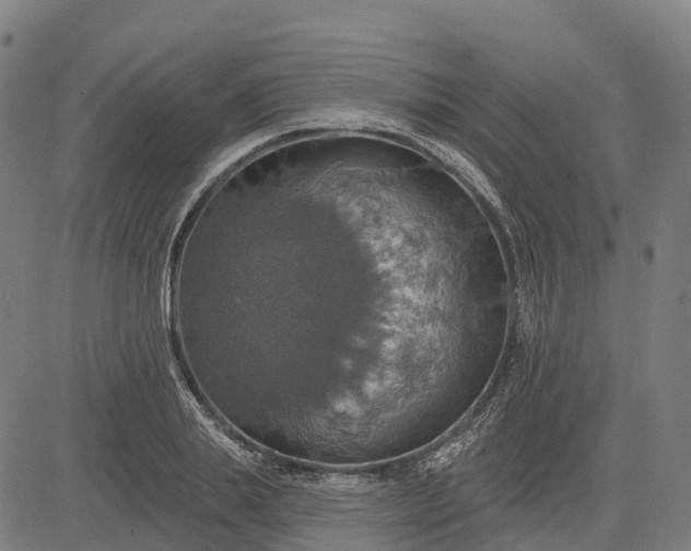 X0000084540839200703091651