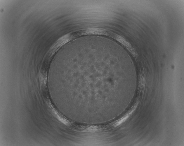 X0000084540841200703091652