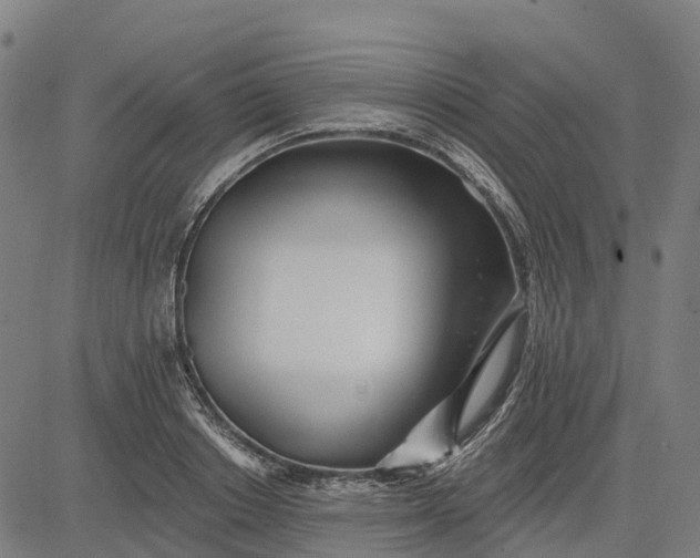 X0000084540842200703091652