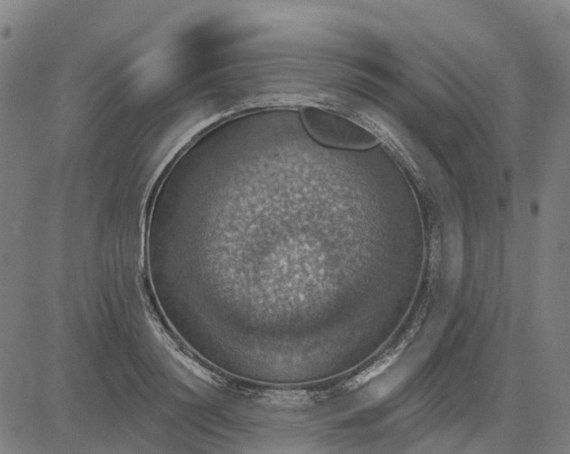 X0000084540844200703091652