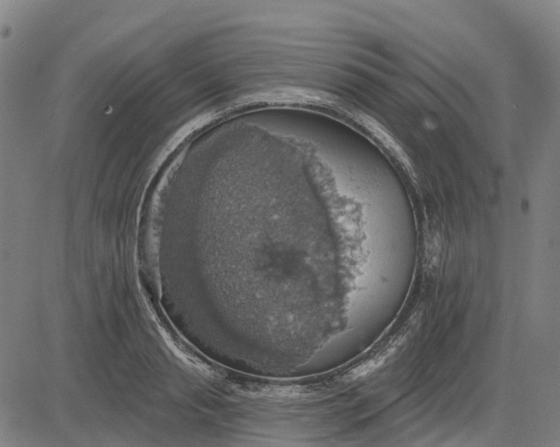 X0000084540845200703091652