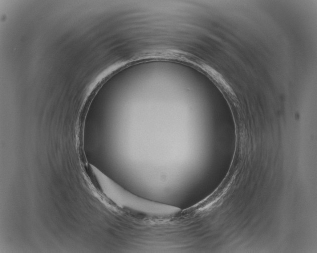 X0000084540846200703091652