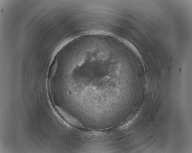 X0000084540847200703091652