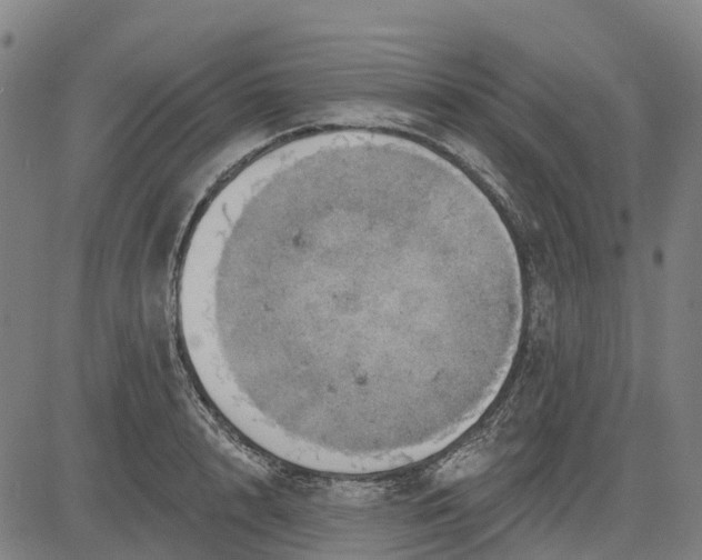 X0000084540848200703091652